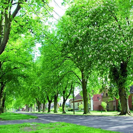 In Am Mueritzsee * Buchholz (Mecklenburg-Vorpommern)