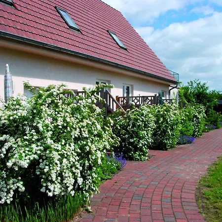 Gemuetliches In Am Mueritzsee