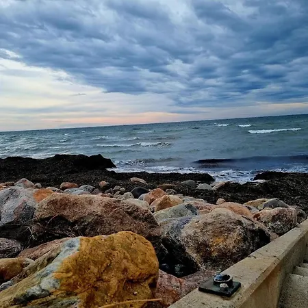 In Am Mueritzsee Buchholz (Mecklenburg-Vorpommern)